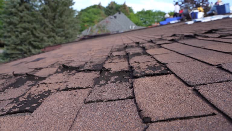 Best Gutter Installation and Repair  in Lemay, MO