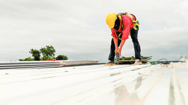 Best Emergency Roof Repair Services  in Lemay, MO