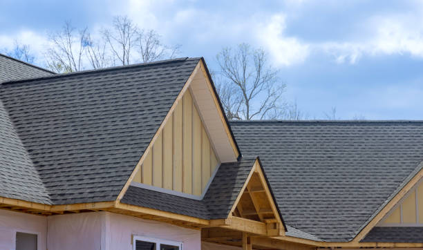 Best Gutter Installation and Repair  in Lemay, MO