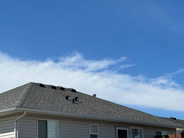 Best Flat Roofing  in Lemay, MO